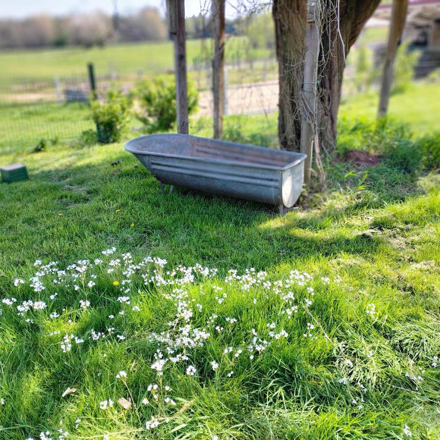 V I O L E T T E La Souris Des Champs Apartment Etival-Clairefontaine Bagian luar foto
